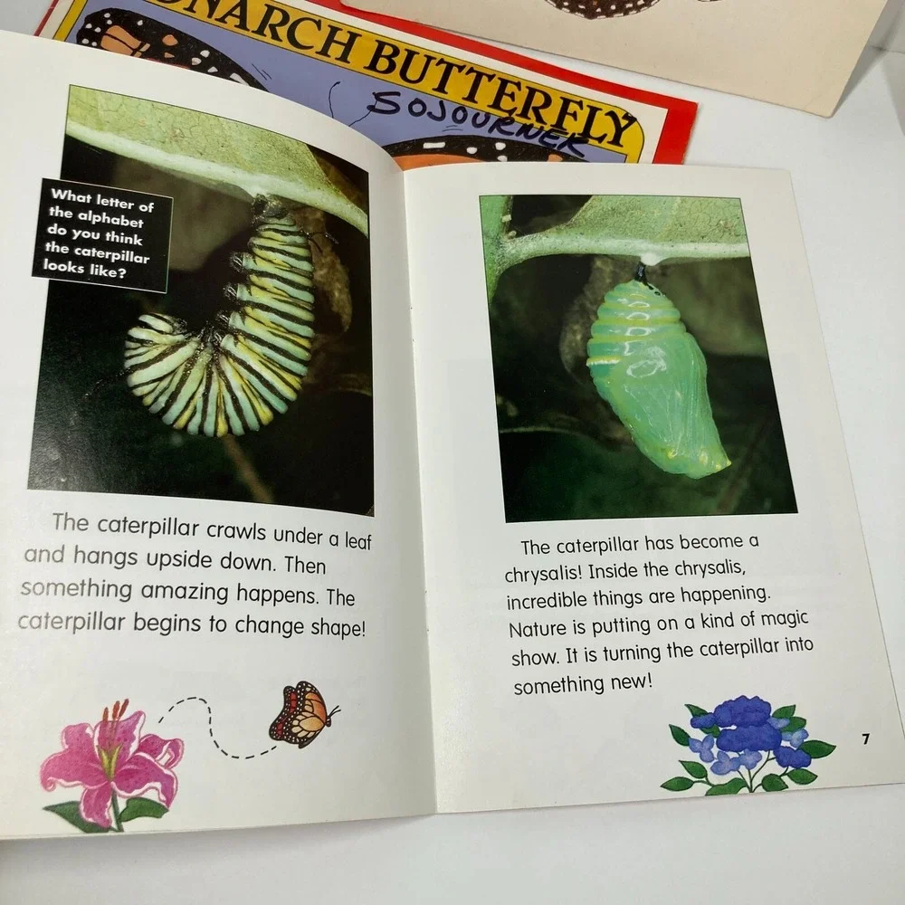 Lot Of 6 Insect‎ Paperback Single Copies Children Homeschool Tutoring Classroom